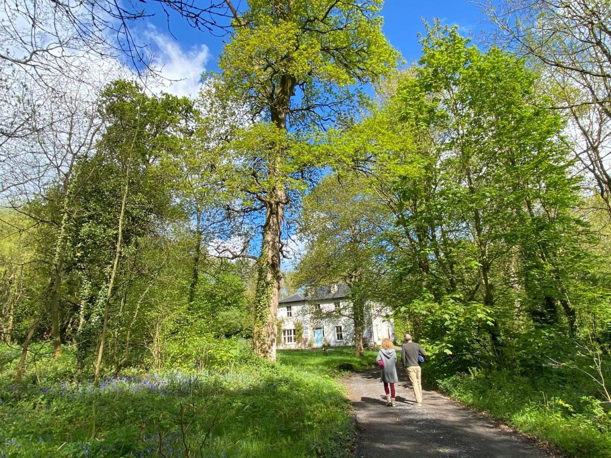 Blackhill Woods Retreat Abbeyleix Εξωτερικό φωτογραφία