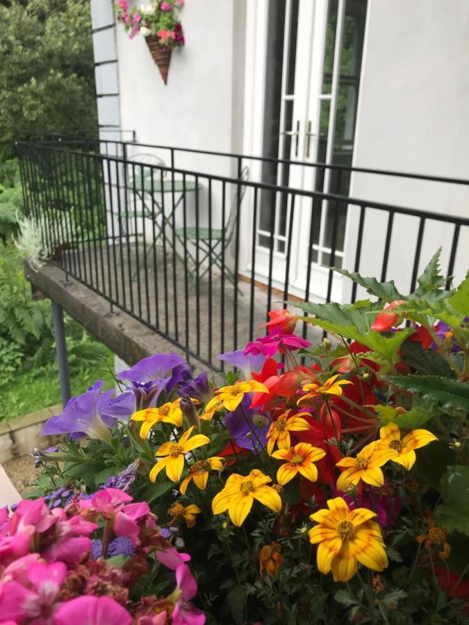 Blackhill Woods Retreat Abbeyleix Εξωτερικό φωτογραφία